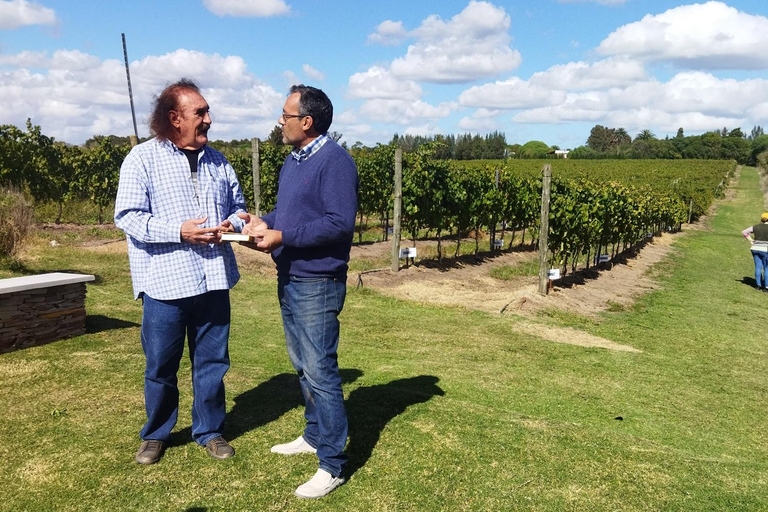 Visit to a traditional and award-winning winery in Montevideo