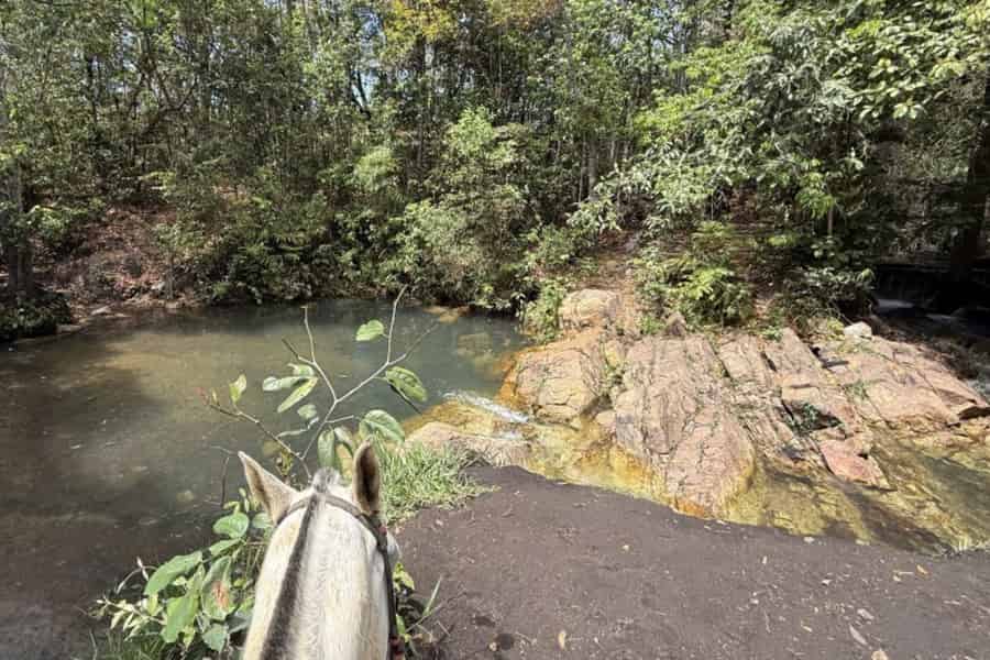 Ausritt mit Frühstück – Caub I, in der Nähe des Flughafens Brasília. Foto: GetYourGuide Ausritt mit Frühstück – Caub I, in der Nähe des Flughafens Brasília. Foto: GetYourGuide