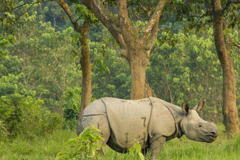 Kathmandu: 1-Way Flight Ticket to Chitwan Bharatpur