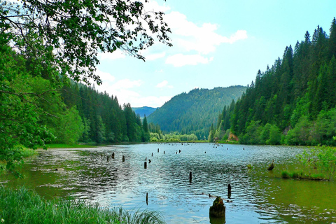 Brasov: Saint Ana Lake & Red Lake Tour