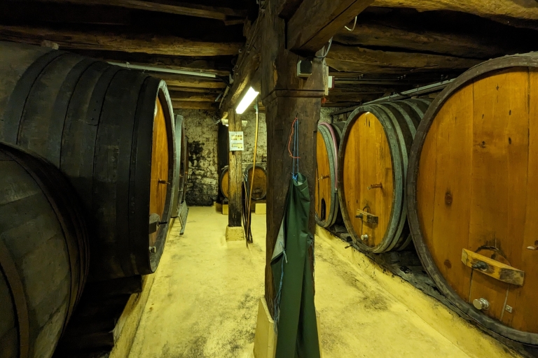 Colmar: podkreśla pieszą wycieczkę i degustację wina