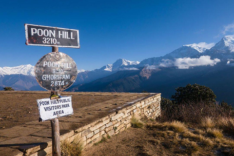 From Pokhara: Short 1 Night 2 Day Ghorepani Poon Hill Trek