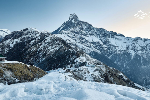 Mardi Himal Trek in 7 Days where Solitude Meets the Peak