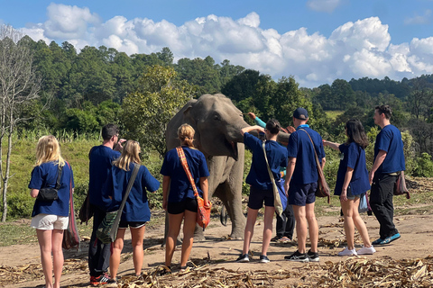 Chiang Mai: Ethische Elefantenauffangstation und ATV-Abenteuer2-stündiger ATV- und Schutzgebietsbesuch mit Mittagessen und Transfer