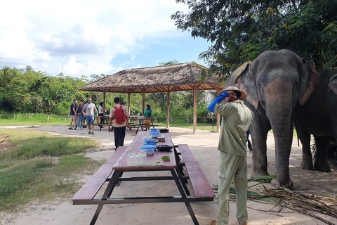 Kulen Elephant Forest i jezioro TonlesapKulen Elephant Forest przez Sharing Group Tours