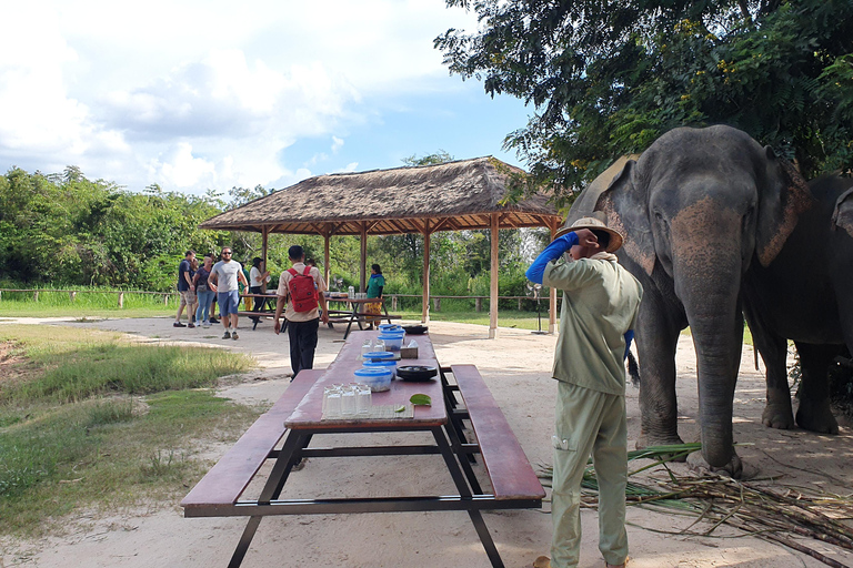 Kulen Elephant Forest & Tonlesap Lake Kulen Elephant Forest by Sharing Group Tours