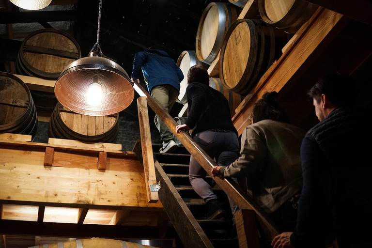 "Nez du Cognac" workshop in Echallat