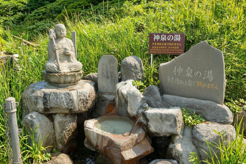 Mt. Fuji & Hakone Tour: Arakurayama, OshinoHakkai, Owakudani Tokyo Station | 7:30 AM Departure with English Guide