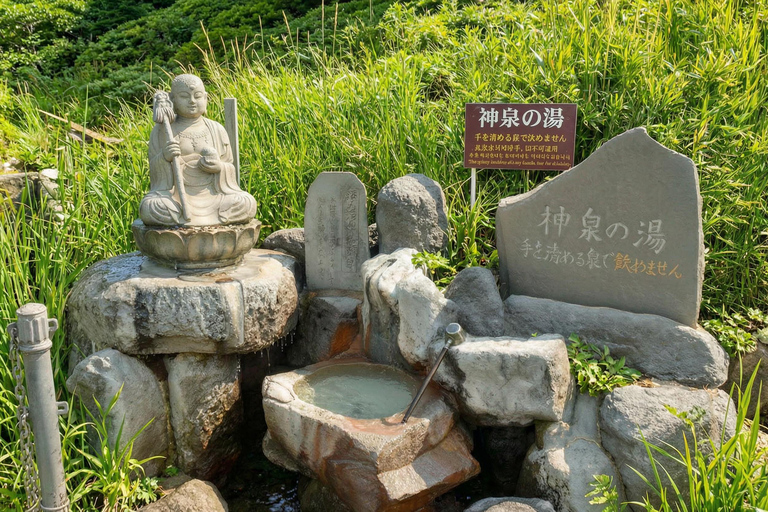 Mt. Fuji & Hakone Tour: Arakurayama, OshinoHakkai, Owakudani Tokyo Station | 7:30 AM Departure with English Guide