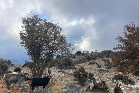 Crète : Safari en Jeep avec déjeuner, boissons et transfertSafari en jeep semi-privé avec déjeuner, boissons et transfert