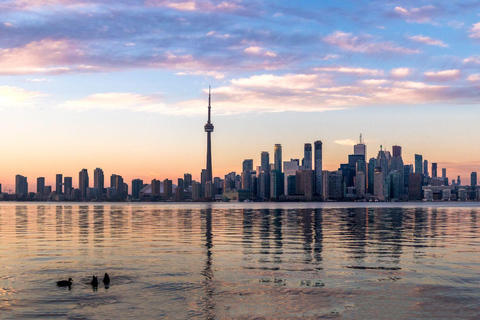 Das Beste von Toronto: Private Tour zu Fuß mit einem EinheimischenPrivate Stadtführung - 2Hr