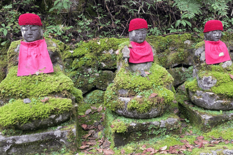 Tokyo: Tour privato di un giorno di Nikko, Patrimonio dell&#039;Umanità dell&#039;Unesco, e prelievo di campioni