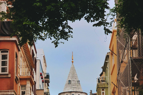 Istanbul: Private Custom Tour with Hotel Pickup & Transfers Private Tour: 8-10 Hours, Pickup & Transfers, Up to 6 Guests