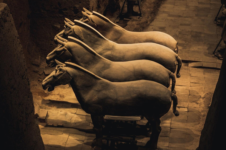 Xian Terra Cotta Warriors Ticket Only