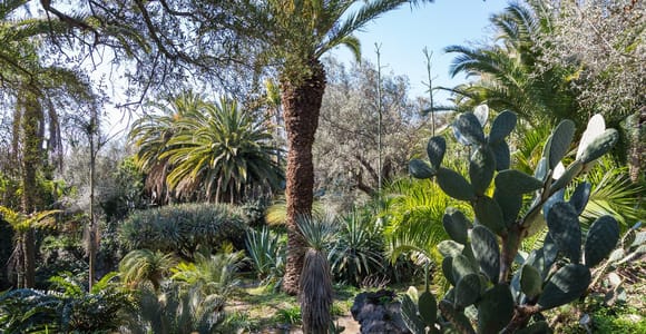 Tour of the historic Parco Paternò del Toscano garden, a short distance from Catania