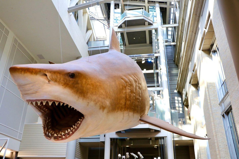 Rodzinne poszukiwanie skarbów w Muzeum Historii Naturalnej w WaszyngtonieRodzinne poszukiwania skarbów w Muzeum Historii Naturalnej w Waszyngtonie