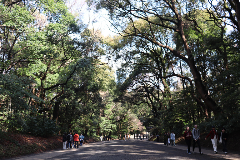 Tokyo Morning Highlights: Shibuya, Asakusa, Meiji-SchreinPrivate Tour