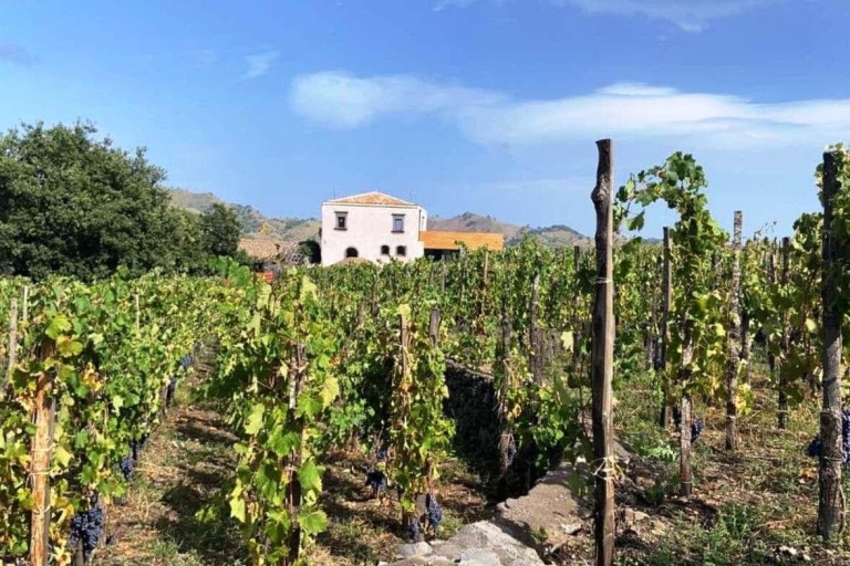 Etna: degustacja winaWycieczka prywatna (na grupę)