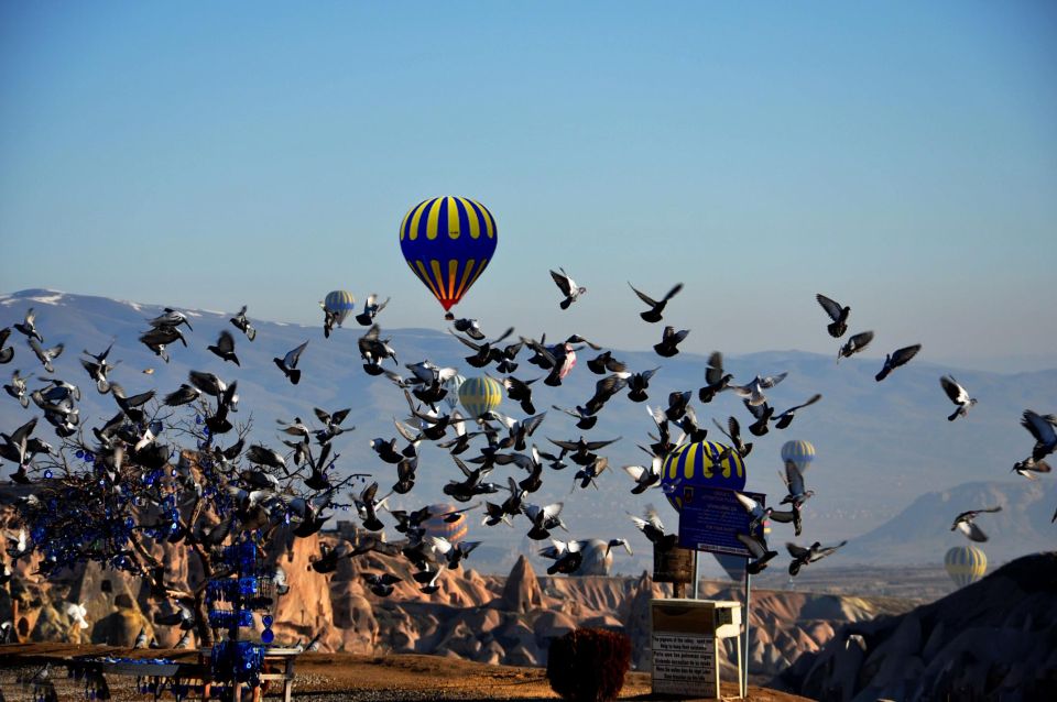 Vol en montgolfière avec oiseaux