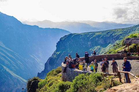 Hike inside the Colca Canyon 2 DAYS with meals in Arequipa