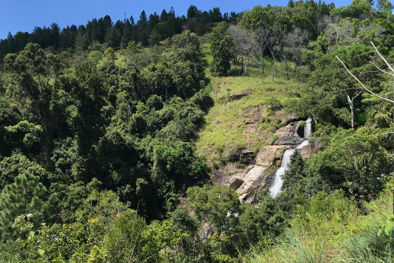 Excursión de un día a la cascada de Diyaluma desde Galle WeligamaExplora la cascada de Diyaluma