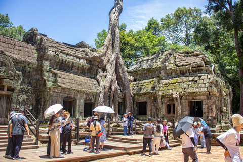 Angkor Wat Amanecer Tour privado guiado - Desayuno incluido