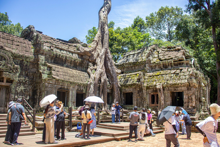 Visite guidée privée d&#039;Angkor Wat au lever du soleil - Petit-déjeuner inclus