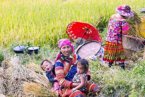 Mu Cang Chai 2 Days Tour Trekking Terraced Rice Field