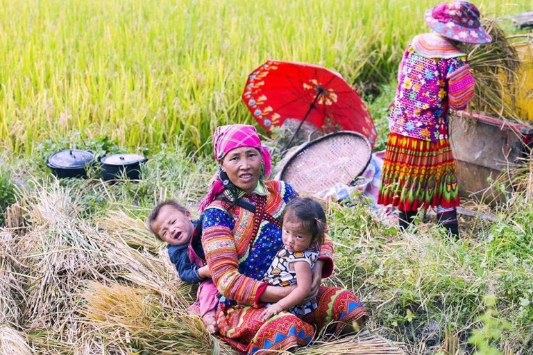 Mu Cang Chai 2 Days Tour Trekking Terraced Rice Field