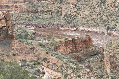 كريسوتيل أريزونا: رحلات على الطرق الوعرة إلى مناظر خلابة لوادي ريجال