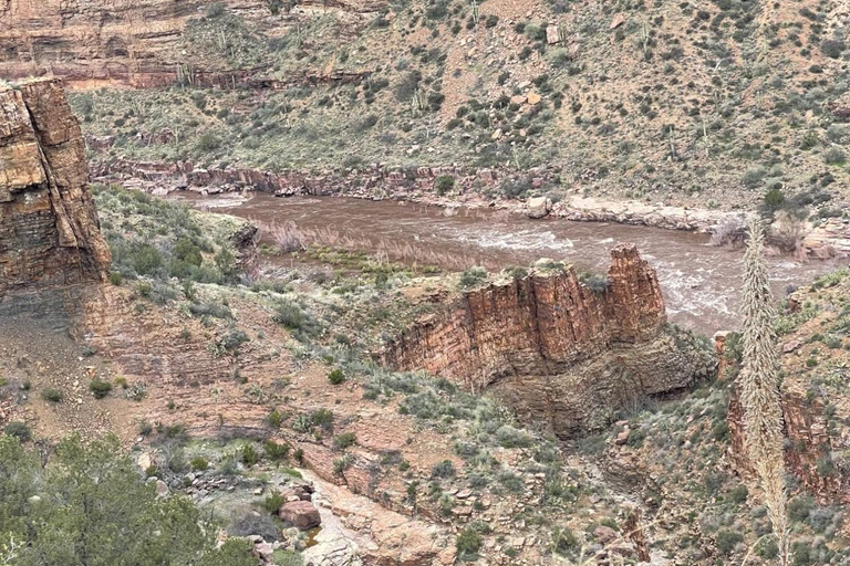 كريسوتيل أريزونا: رحلات على الطرق الوعرة إلى مناظر خلابة لوادي ريجال