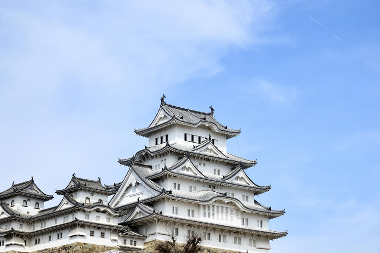 Osaka: Castello di Himeji, Arima Onsen e Monte Rokko Tour di 1 giorno in autobus