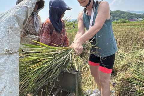 Yogyakarta: Village Cycling Tour with Local Snacks