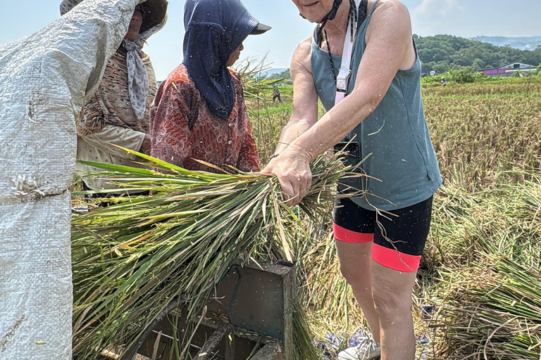 Yogyakarta: Village Cycling Tour with Local Snacks