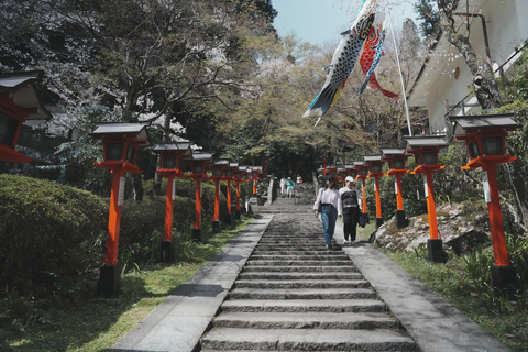 Kyoto Customisable Private Tour with a Local Guide