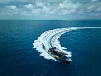 Von Cairns aus: Great Barrier Reef Halbtagestour zum Schnorcheln