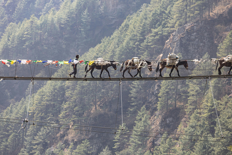 Nepal: Gokyo Lakes & Everest Base Camp Trek | Eco-Certified|