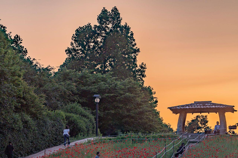 Seoul Private Car & Driver – 9h Custom Day with Pickup