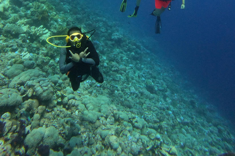 Sharm El Sheikh: Tiran Island Boat Trip w Snorkeling & Lunch