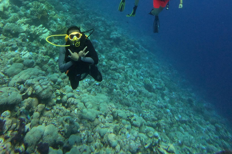 Sharm El Sheikh: Tiran Island Boat Trip w Snorkeling & Lunch
