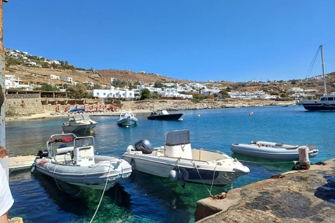 Mykonos Discovery: Private Tour with Hotel/Cruise Pickup 2 Hours Private Tour