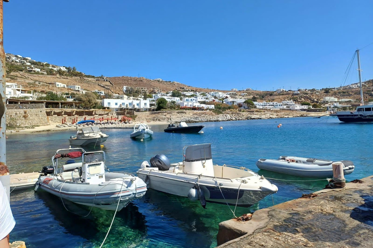 Mykonos Discovery: Private Tour with Hotel/Cruise Pickup 2 Hours Private Tour