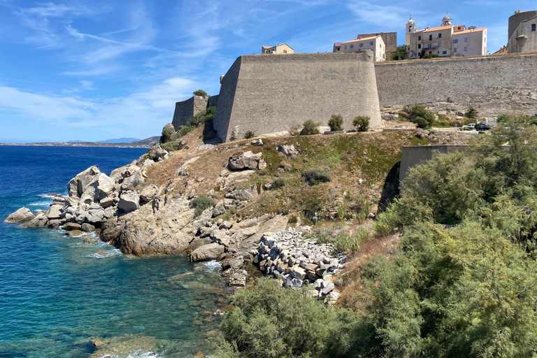 Corse : excursion d&#039;une journée à Calvi en minibus depuis BastiaCorse : Excursion à Calvi en minibus depuis Bastia