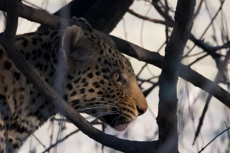 Hwange National Park & Victoria Falls 4-Day Safari Tour