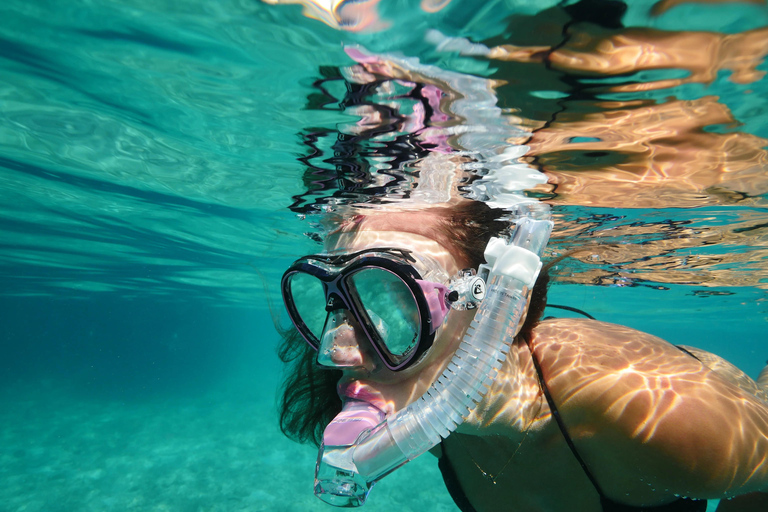 Guided Snorkel in Barcelona Beach