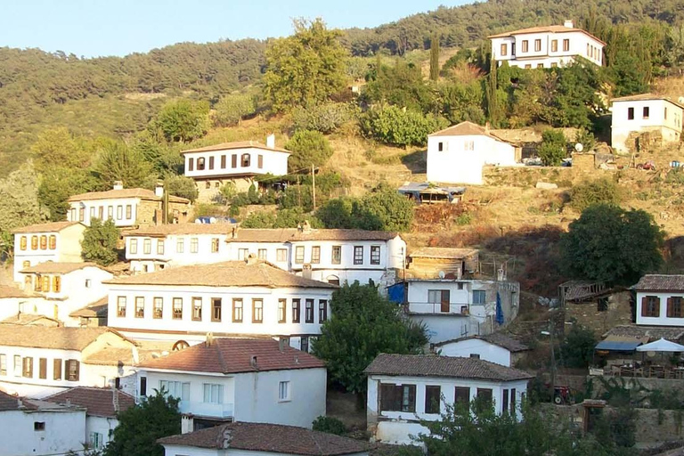 TempleofArtemis and HouseofMary in Ephesus&Sirince Village