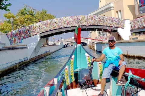 From Porto: Aveiro and Costa Nova Half-Day Tour with Cruise