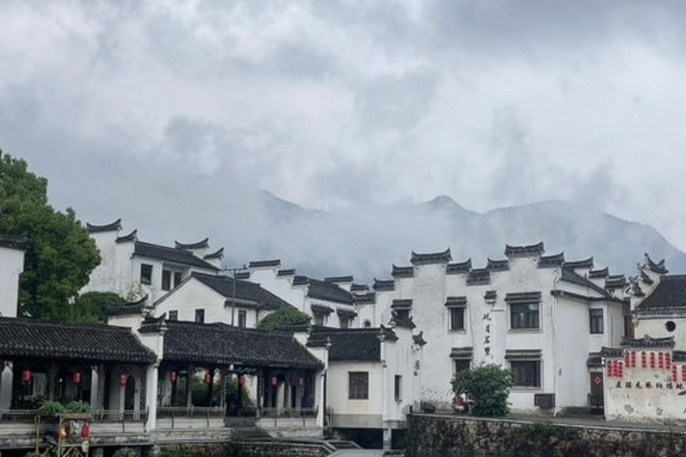 Shanghai: Fuyang Bayberry Picking & Ancient Town Day Trip