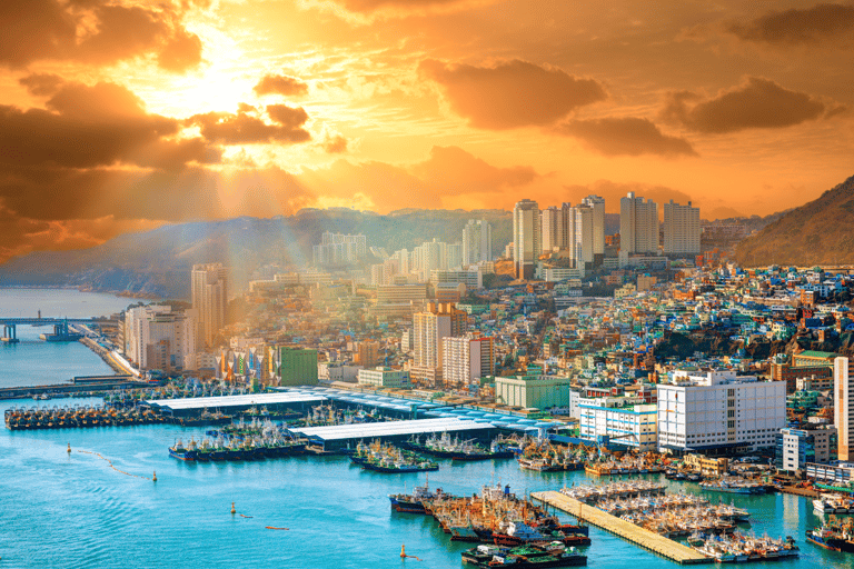 Busan City : Top Attractions One-Day Guided Tour (visite guidée d&#039;une journée)