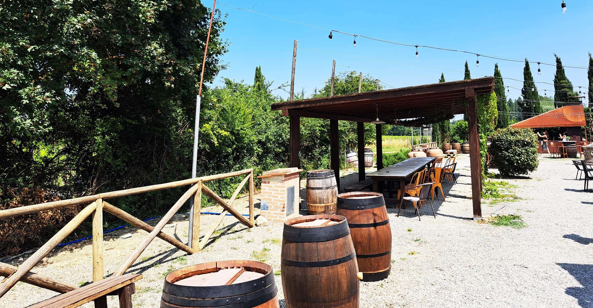 Half Day Escape to Chianti: Taste the Heart of Tuscany photo 9